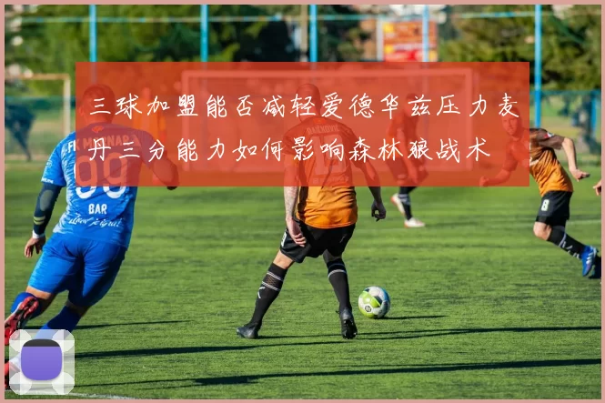 三球加盟能否减轻爱德华兹压力麦丹三分能力如何影响森林狼战术