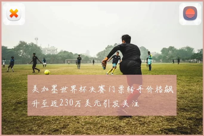 美加墨世界杯决赛门票转手价格飙升至近230万美元引发关注